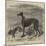 Master M'Grath-Harrison William Weir-Mounted Giclee Print