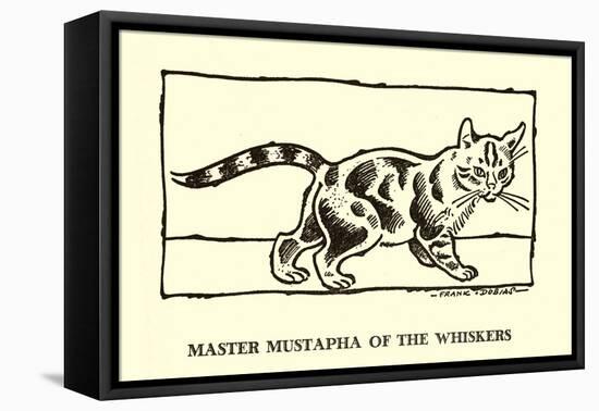 Master Mustapha Of The Whiskers-Frank Dobias-Framed Stretched Canvas