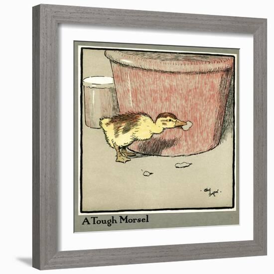 Master Quack the Duckling Finds a Tough Morsel-Cecil Aldin-Framed Art Print