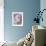 Masterwort (Astrantia Major Rubra, Close-Up)-Linda Burgess-Framed Photographic Print displayed on a wall