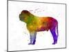 Mastiff in Watercolor-paulrommer-Mounted Art Print