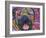 Mastiff Love-Dean Russo-Framed Giclee Print