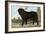 Mastiff-Vero Shaw-Framed Art Print