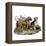 Mastiffs and Puppies-null-Framed Stretched Canvas