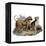 Mastiffs and Puppies-null-Framed Stretched Canvas