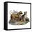 Mastiffs and Puppies-null-Framed Stretched Canvas