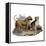 Mastiffs and Puppies-null-Framed Stretched Canvas