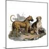 Mastiffs and Puppies-null-Mounted Art Print