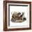 Mastiffs and Puppies-null-Framed Art Print