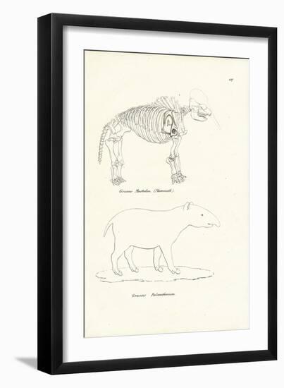 Mastodon, 1824-Karl Joseph Brodtmann-Framed Giclee Print