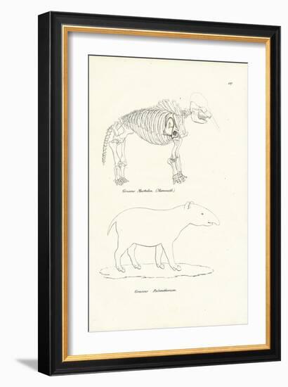 Mastodon, 1824-Karl Joseph Brodtmann-Framed Giclee Print