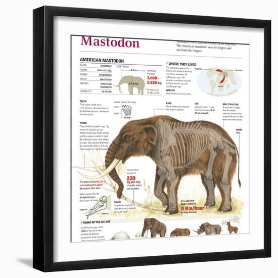 Photographic Print, , large