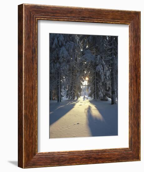 Mat, Palm Leaves, Close-Up-Thonig-Framed Photographic Print