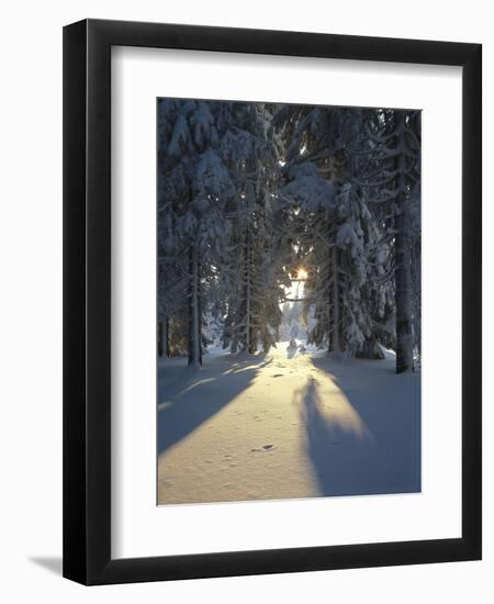 Mat, Palm Leaves, Close-Up-Thonig-Framed Photographic Print