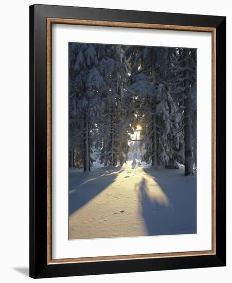 Mat, Palm Leaves, Close-Up-Thonig-Framed Photographic Print