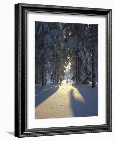 Mat, Palm Leaves, Close-Up-Thonig-Framed Photographic Print