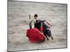 Matador and a Bull in a Bullring, Lima, Peru-null-Mounted Photographic Print