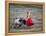 Matador and a Bull in a Bullring, Lima, Peru-null-Framed Premier Image Canvas