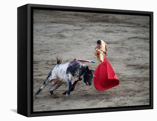 Matador and a Bull in a Bullring, Lima, Peru-null-Framed Premier Image Canvas