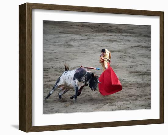 Matador and a Bull in a Bullring, Lima, Peru-null-Framed Photographic Print