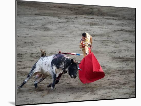 Matador and a Bull in a Bullring, Lima, Peru-null-Mounted Photographic Print