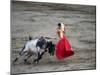 Matador and a Bull in a Bullring, Lima, Peru-null-Mounted Photographic Print