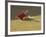 Matador and Bull, Andalucia, Spain-Merrill Images-Framed Photographic Print