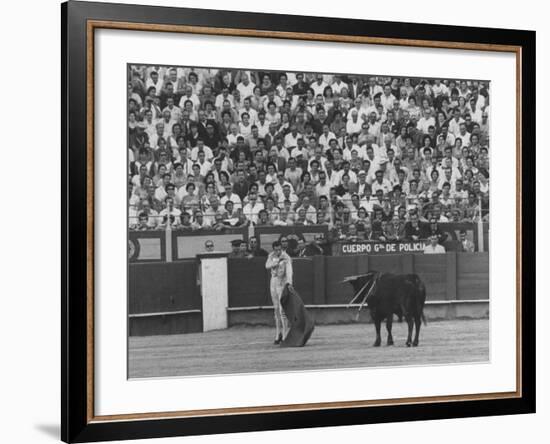 Matador Antonio Ordonez During Bullfight-James Burke-Framed Premium Photographic Print