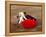 Matador at Monumental El Paso, Bullfight (Fiesta Brava), San Luis Potosi, Mexico-Russell Gordon-Framed Premier Image Canvas