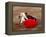 Matador at Monumental El Paso, Bullfight (Fiesta Brava), San Luis Potosi, Mexico-Russell Gordon-Framed Premier Image Canvas