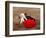 Matador at Monumental El Paso, Bullfight (Fiesta Brava), San Luis Potosi, Mexico-Russell Gordon-Framed Photographic Print