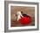 Matador at Monumental El Paso, Bullfight (Fiesta Brava), San Luis Potosi, Mexico-Russell Gordon-Framed Photographic Print