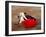 Matador at Monumental El Paso, Bullfight (Fiesta Brava), San Luis Potosi, Mexico-Russell Gordon-Framed Photographic Print