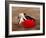 Matador at Monumental El Paso, Bullfight (Fiesta Brava), San Luis Potosi, Mexico-Russell Gordon-Framed Photographic Print