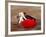 Matador at Monumental El Paso, Bullfight (Fiesta Brava), San Luis Potosi, Mexico-Russell Gordon-Framed Photographic Print