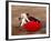 Matador at Monumental El Paso, Bullfight (Fiesta Brava), San Luis Potosi, Mexico-Russell Gordon-Framed Photographic Print