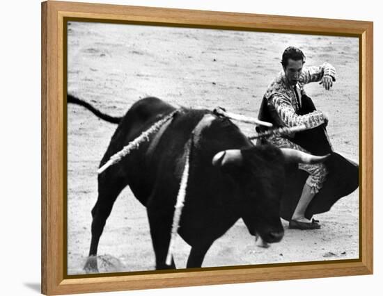 Matador Julian Marin and Bull in the Ring During a Bullfight Celebrating the Fiesta de San Ferman-Tony Linck-Framed Premier Image Canvas
