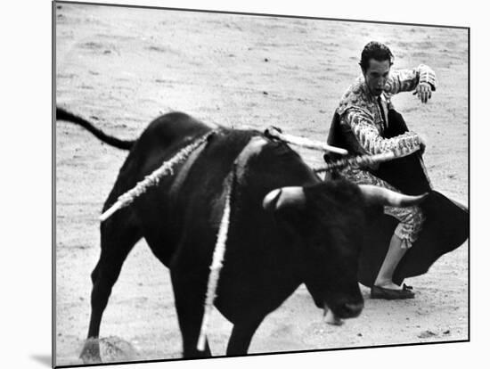 Matador Julian Marin and Bull in the Ring During a Bullfight Celebrating the Fiesta de San Ferman-Tony Linck-Mounted Premium Photographic Print