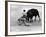 Matador Julian Marin and Bull in the Ring for a Bullfight During the Fiesta de San Ferman-Tony Linck-Framed Premium Photographic Print