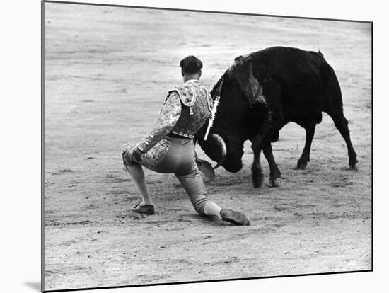 Matador Julian Marin and Bull in the Ring for a Bullfight During the Fiesta de San Ferman-Tony Linck-Mounted Premium Photographic Print