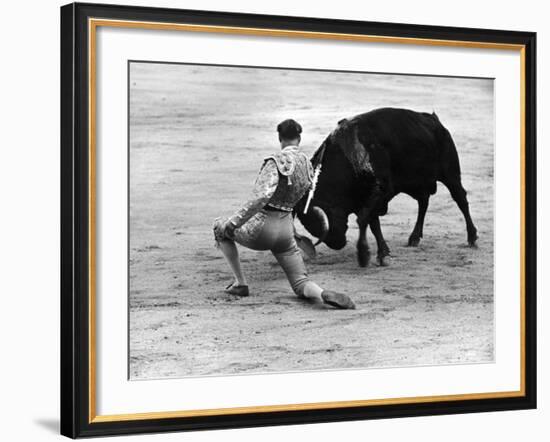 Matador Julian Marin and Bull in the Ring for a Bullfight During the Fiesta de San Ferman-Tony Linck-Framed Premium Photographic Print