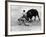 Matador Julian Marin and Bull in the Ring for a Bullfight During the Fiesta de San Ferman-Tony Linck-Framed Premium Photographic Print