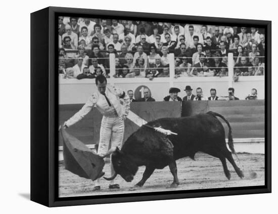 Matador Luis Miguel Dominguin During Bullfight-James Burke-Framed Premier Image Canvas