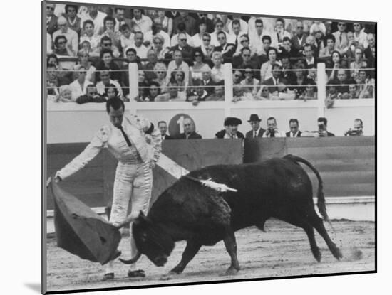 Matador Luis Miguel Dominguin During Bullfight-James Burke-Mounted Premium Photographic Print