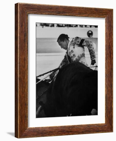 Matador Luis Miguel Dominguin During Bullfight-null-Framed Premium Photographic Print