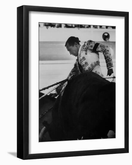 Matador Luis Miguel Dominguin During Bullfight-null-Framed Premium Photographic Print