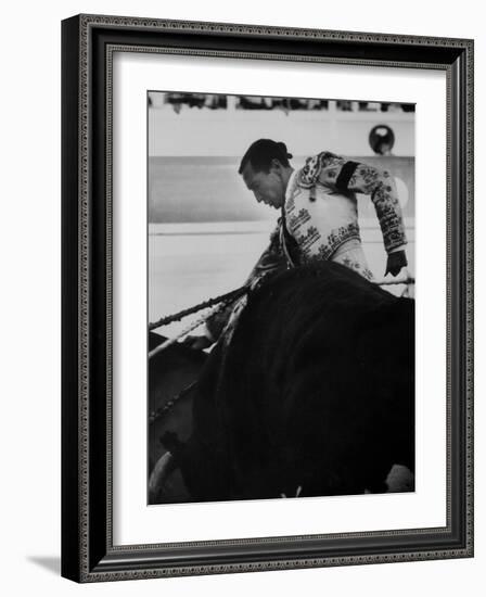 Matador Luis Miguel Dominguin During Bullfight-null-Framed Premium Photographic Print