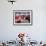 Matador Luis Miguel Dominguin Performing During a Mano a Mano Bullfight at the Bayonne Bullring-James Burke-Framed Premium Photographic Print displayed on a wall