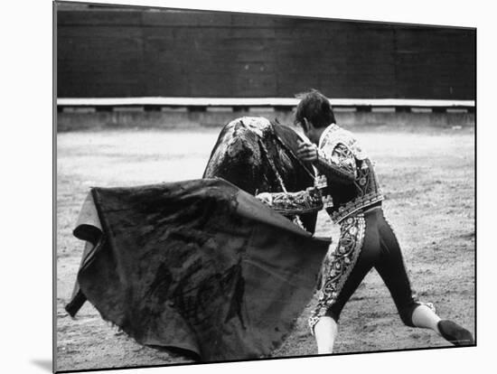 Matador Manuel Benitez, Performing in the Bullring-Loomis Dean-Mounted Premium Photographic Print