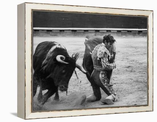 Matador Manuel Benitez, Performing Series of Passes on His Knees-Loomis Dean-Framed Premier Image Canvas